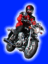 Der Alpenp�ssef�hrer und Alpenstra�enf�hrer f�r Cruiser, Tourer, Sportler, Chopper, Endouros, Sporttourer, ...